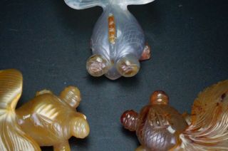 Group of 3 x Antique Chinese Agate Hardstone Carving Gold Fish 20th C 4