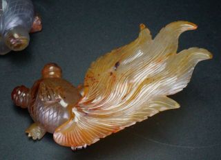 Group of 3 x Antique Chinese Agate Hardstone Carving Gold Fish 20th C 5