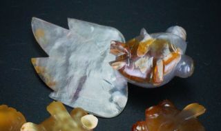 Group of 3 x Antique Chinese Agate Hardstone Carving Gold Fish 20th C 8