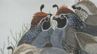 Vintage Barbara Eyre Ltd.  Needlepoint Canvas Painted California Quail 23 