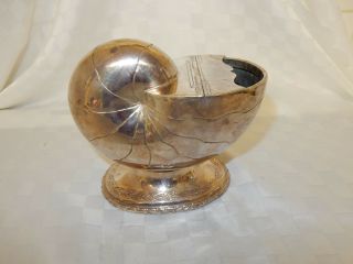 Antique Victorian Silver Plate Nautilus Shell Pedestal Base Spoon Warmer (h)