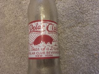 Vintage Polar Club Beverages Soda Bottle,  York 9 Oz A Bear Of A Drink