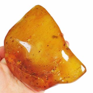 155.  2g Natural Baltic Butterscotch Amber 琥珀 蜜蜡 Facet Rough Specimen Msfc773