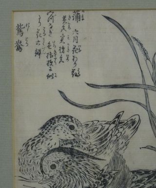 FRAMED ANTIQUE 19 c.  JAPANESE POETIC WOODBLOCK PRINT DUCKLINGS 3