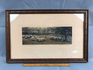 Vtg Wallace Nutting Hand Colored Photo Sheep " As It Was In The Beginning " Signed