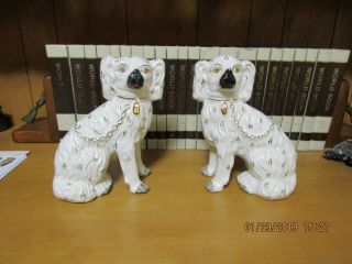 Pair Vintage Staffordshire King Charles Spaniels,  Dogs,  9 - 1/2 "