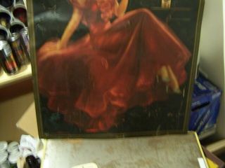 Cooks Beer RARE Lady metal sign 22 