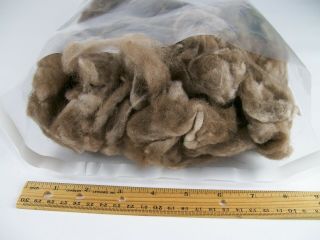 2.  6 Oz Raw Vintage Qiviut Soft Wool Muskox Qiviuq Hair Down