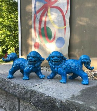 Estate Antique Vtg Chinese Porcelain Foo Dogs Guardian Lions Turquoise 11” Long