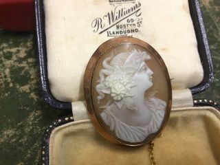 Large 9ct Gold Shell Cameo Brooch 8.  2 Grams,  4cm X 3.  2cm,  Box