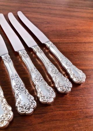 (6) GORHAM CO STERLING SILVER HANDLED DINNER KNIVES BUTTERCUP: 8 3/4 