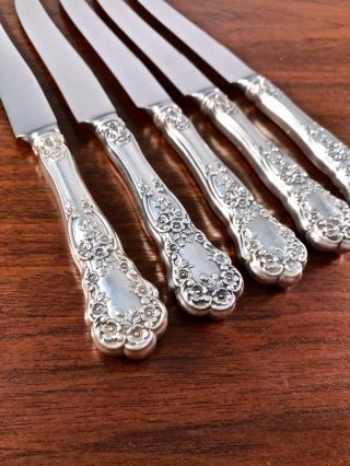 (6) GORHAM CO STERLING SILVER HANDLED DINNER KNIVES BUTTERCUP: 8 3/4 