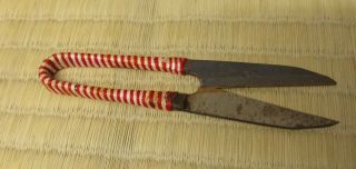 Japanese Scissors One - Piece Signed Vintage Bonsai Sewing Thread Forged Japan