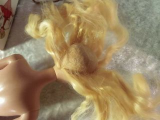 Vintage Barbie Blonde 3 - 4 Doll Solid Body Flocked Head W/Box & Outfit 3