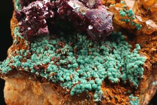 VERY RARE Crystalline Turquoise & Cuprite BISBEE,  ARIZONA 10