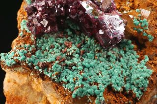 VERY RARE Crystalline Turquoise & Cuprite BISBEE,  ARIZONA 3