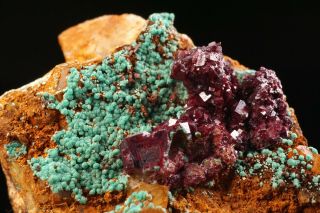 VERY RARE Crystalline Turquoise & Cuprite BISBEE,  ARIZONA 4