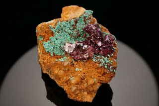 VERY RARE Crystalline Turquoise & Cuprite BISBEE,  ARIZONA 9