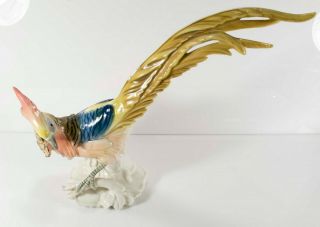 Rare Vintage Karl Ens German Porcelain Bird 
