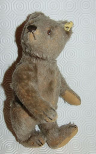 9 Inches Vintage Steiff Jointed Teddy Bear With Part Label & Steiff Button