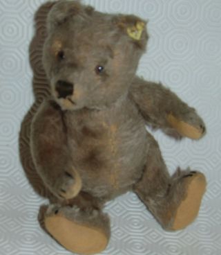 9 inches vintage Steiff jointed teddy bear with part label & Steiff button 3