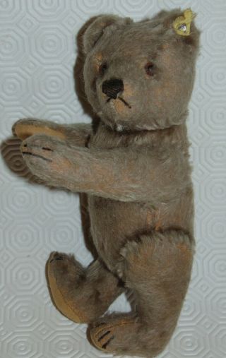 9 inches vintage Steiff jointed teddy bear with part label & Steiff button 4
