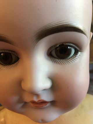 ANTIQUE BISQUE HEAD DOLL 