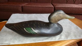 Wonderful MASON FACTORY Black Duck Decoy carved wood Great paint NM NR 12