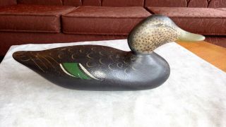 Wonderful Mason Factory Black Duck Decoy Carved Wood Great Paint Nm Nr