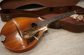 Vintage Vega Guitar 8 Strings With Case