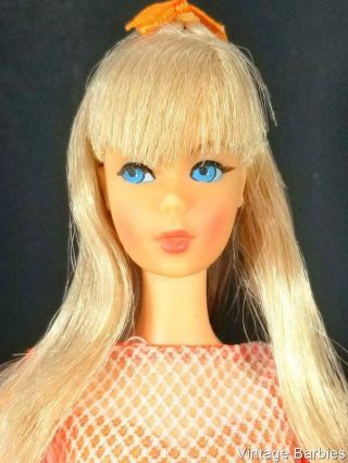 Very Rare Platinum / Champagne Tnt Barbie Doll 1160 Minty - Vintage 1960 