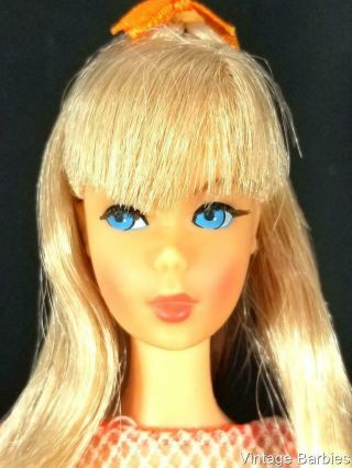 VERY RARE Platinum / Champagne TNT Barbie Doll 1160 MINTY - Vintage 1960 ' s 4