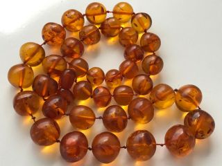 RARE Natural Vintage Amber Beads Antique Baltic Old Necklace 75 gr 5