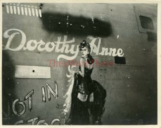 Wwii Photo - B - 25 Mitchell Bomber Plane Nose Art - Dorothy Anne