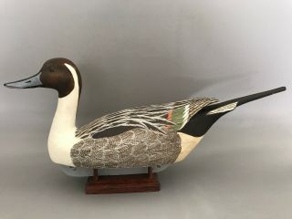 Pintail Drake Decoy,  Solid Body,  Paint,  Glass Eyes,  Never Rigged.