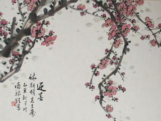Fine Chinese Scroll Painting Ink And Colour - Pink Blossom - Signed