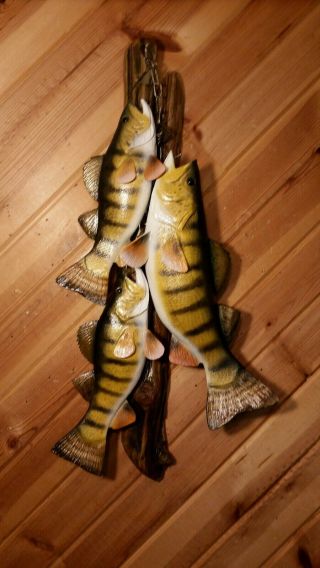 Trophy Perch Stringer Wood Carving Fish Taxidermy Fishing Lure Casey Edwards