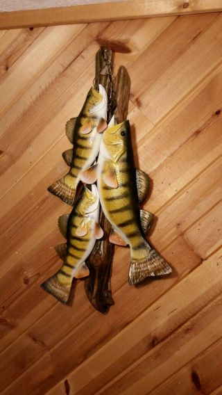 Trophy Perch Stringer Wood Carving Fish Taxidermy Fishing Lure Casey Edwards 2