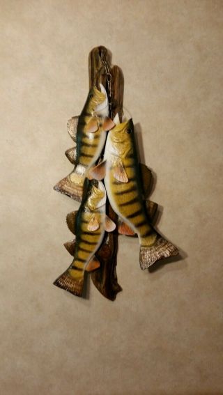 Trophy Perch Stringer Wood Carving Fish Taxidermy Fishing Lure Casey Edwards 5