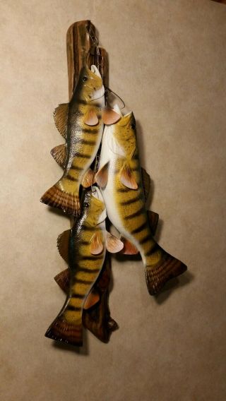 Trophy Perch Stringer Wood Carving Fish Taxidermy Fishing Lure Casey Edwards 6