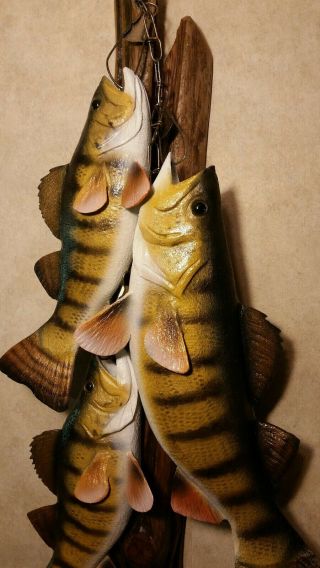 Trophy Perch Stringer Wood Carving Fish Taxidermy Fishing Lure Casey Edwards 7