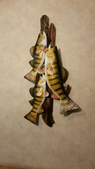 Trophy Perch Stringer Wood Carving Fish Taxidermy Fishing Lure Casey Edwards 8