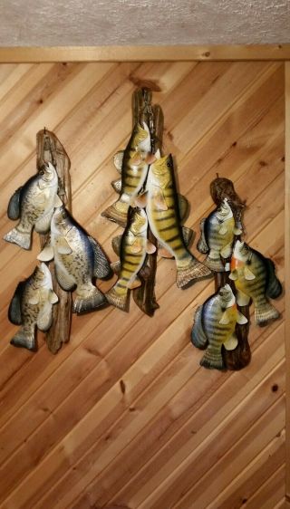 Trophy Perch Stringer Wood Carving Fish Taxidermy Fishing Lure Casey Edwards 9