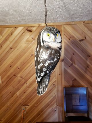 Owl Decoy Wood Carving Casey 