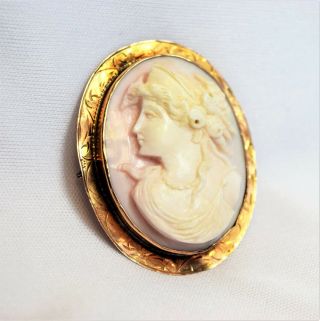 Antique High Relief Carved 10k Gold Pink Angel Skin Shell Rose Cameo Pin Pendant 2