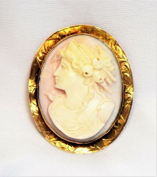 Antique High Relief Carved 10k Gold Pink Angel Skin Shell Rose Cameo Pin Pendant 3