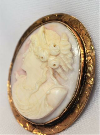 Antique High Relief Carved 10k Gold Pink Angel Skin Shell Rose Cameo Pin Pendant 4