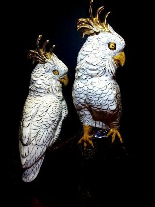 Vintage Parrot Cockatoo/macaw Bird Figurine,  2 Bird,  Ceramic Handpainted Gold