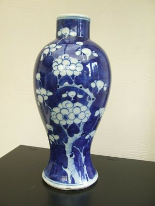 Chinese Porcelain Prunus Vase 19th Century Kangxi Mark To Base