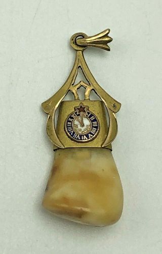 Vintage Elks Tooth 11th Hour Watch Fob Pendant Bpoe Lodge Gold Colored